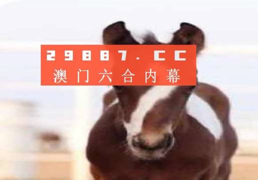 澳门精准一肖一码100%准确,重要性解释落实方法_豪华版3.287