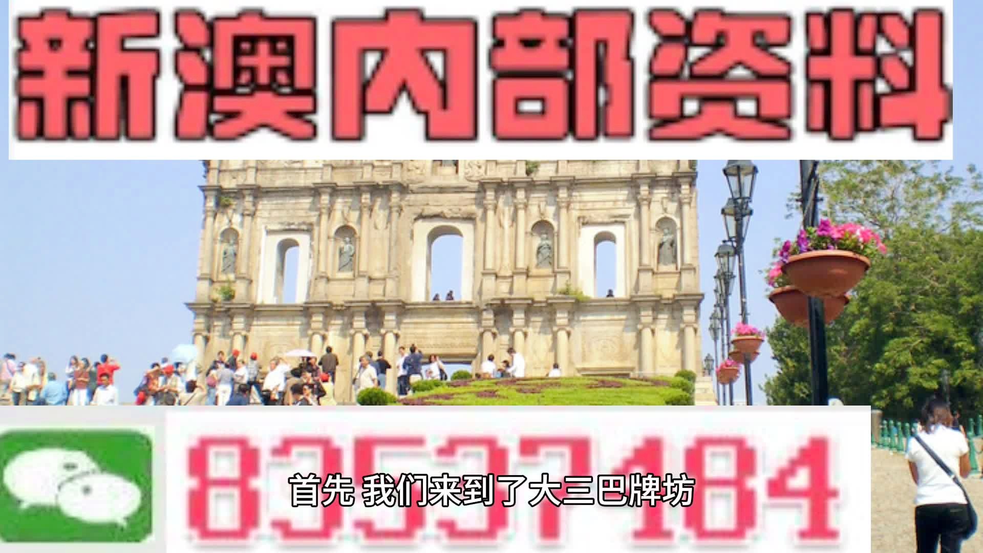 新澳2024年精准一肖一,国产化作答解释落实_豪华版3.287