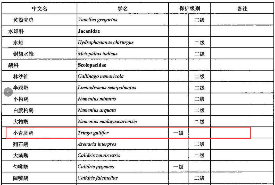 澳门特马今期开奖结果2024年记录,权威诠释推进方式_标准版90.65.32