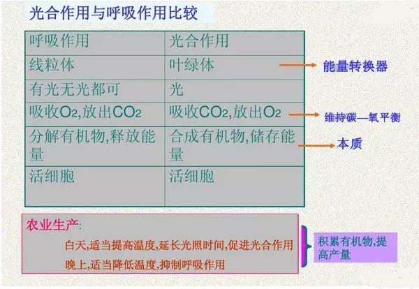 2024年香港正版资料免费大全图片,高效实施方法解析_体验版3.3