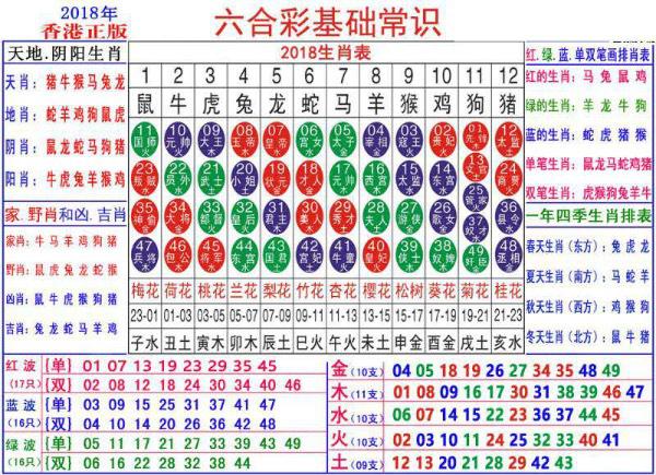 2024澳门正版资料大全资料生肖卡,深入设计执行方案_Mixed79.561