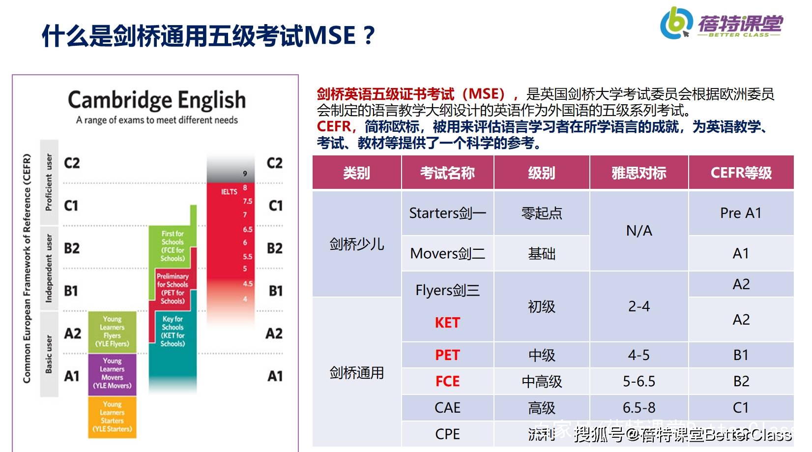 2024今晚澳门开特马开什么,灵活性方案解析_Console76.901