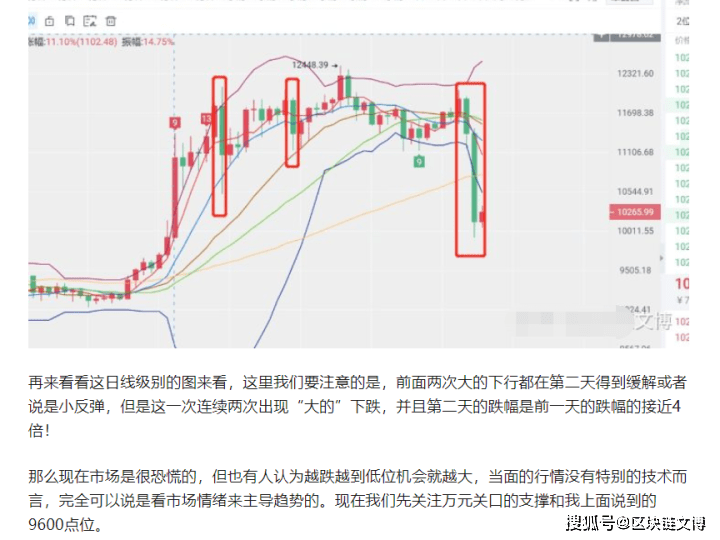 新奥天天免费资料单双中特,现象解答解释定义_轻量版31.212