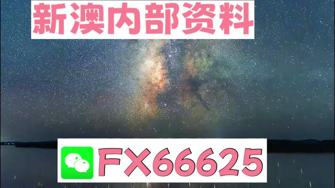 新澳天天彩免费资料大全最新版本更新内容,深入应用数据解析_轻量版2.282