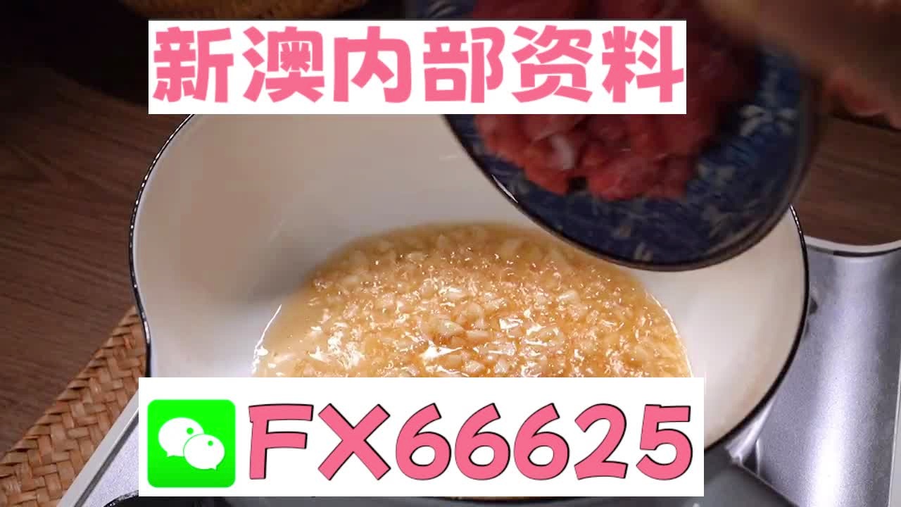 新澳门精准10码中特,动态词语解释落实_标配版33.979