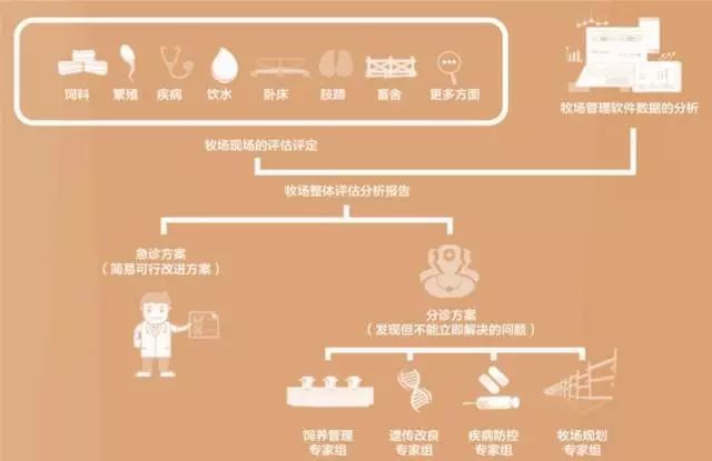 新奥资料免费精准大全,可行性方案评估_精英版24.228