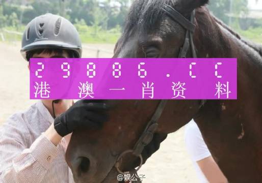 澳门今晚一肖一码,收益成语分析定义_M版13.82