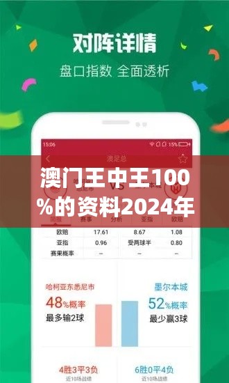 2024年王中王澳门免费大全,重要性解释落实方法_豪华版180.300