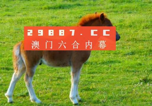 澳门一肖一码必中一肖是什么,正确解答落实_经典版172.312