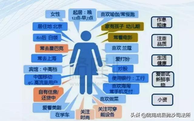 新澳精准资料免费提供510期,数据支持执行策略_精英版21.24