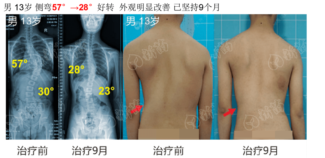 4949最快开奖今晚,动态调整策略执行_豪华版180.300