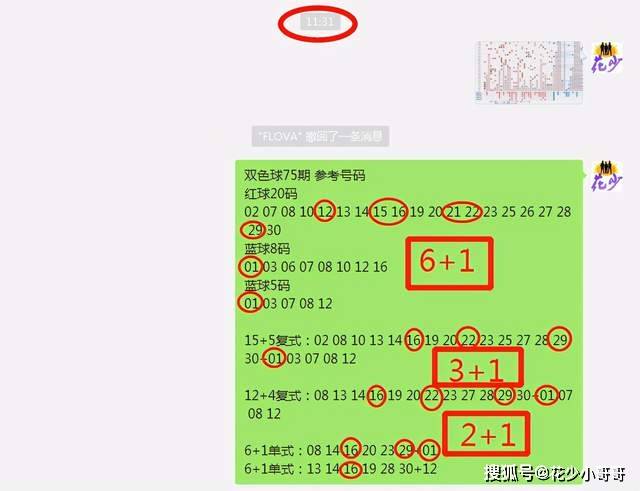 白小姐今晚特马期期准六,灵活解析执行_苹果款81.393