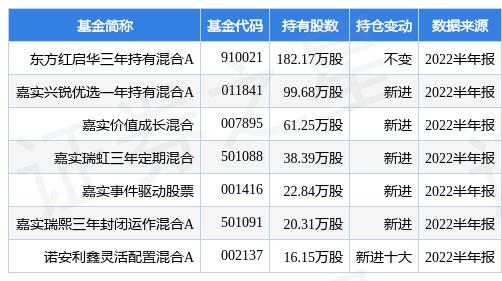 东方红8号最新净值解析，市场展望与深度探究