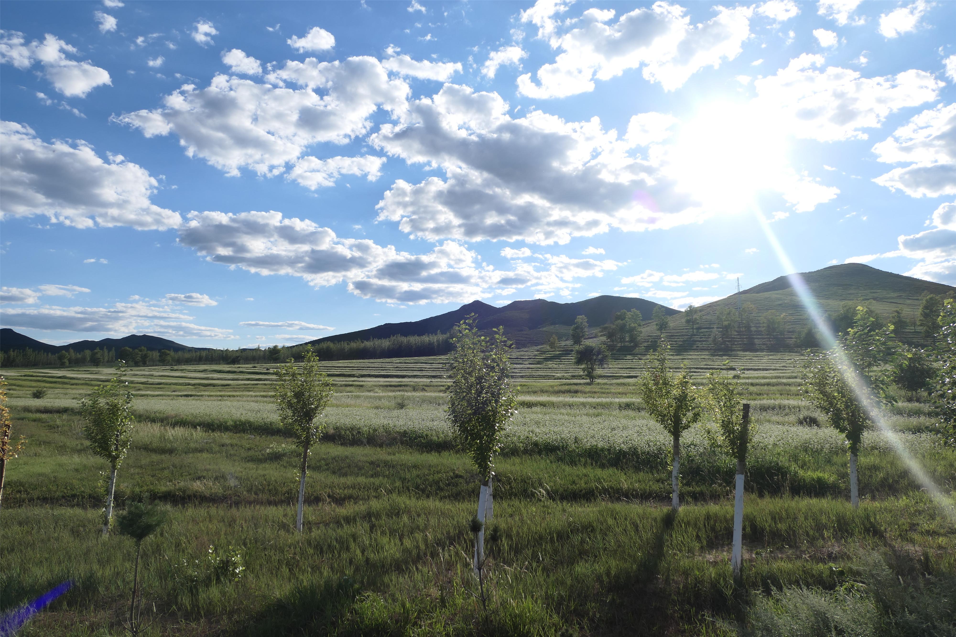 赤峰公租房最新动态，推动公共住房建设，改善民生居住条件