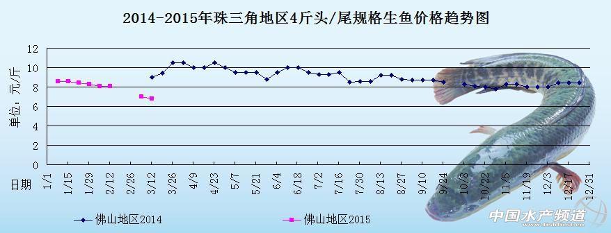 最新生鱼收购价格走势分析