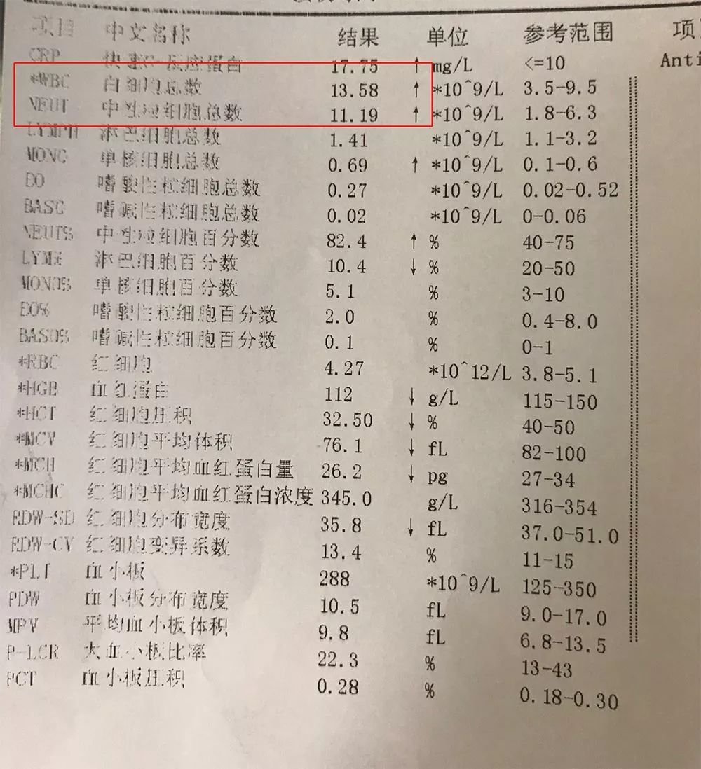 儿童血常规最新参考范围标准及其应用解析