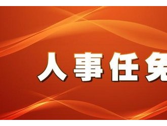 陇南市政府最新任命，城市发展新力量的推动者