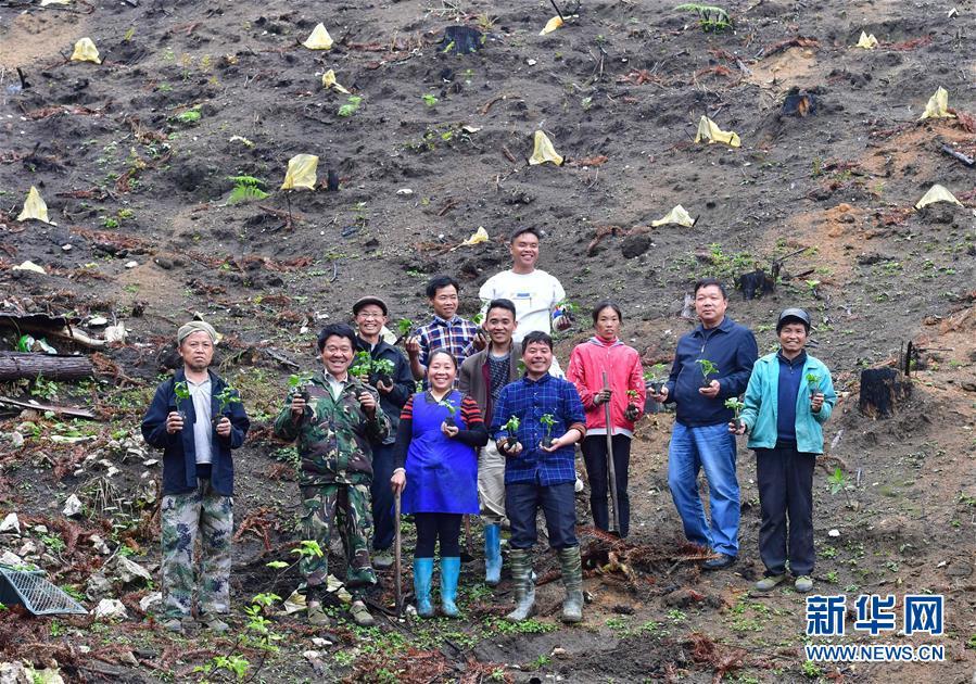 最新百香果种植技术，高效可持续农业实践指南